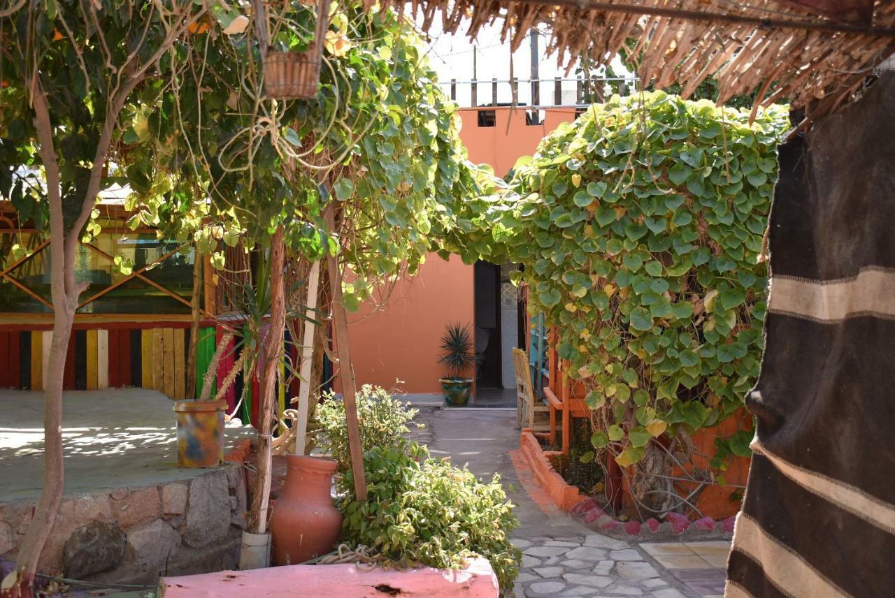Bedouin Garden Village, Hotel Dive Aqaba Luaran gambar